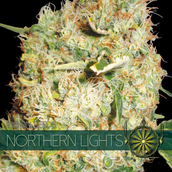 semillas feminizadas Northern Lights de Vision Seeds para cultivo