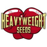 Heavyweight Seeds