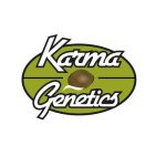 Karma Genetics