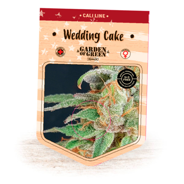 semillas feminizadas Wedding Cake de Garden Of Green Seeds
