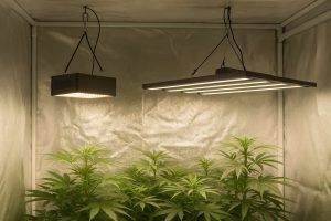 Iluminación LED para cultivo interior en armario con panel LED y barras LED instaladas