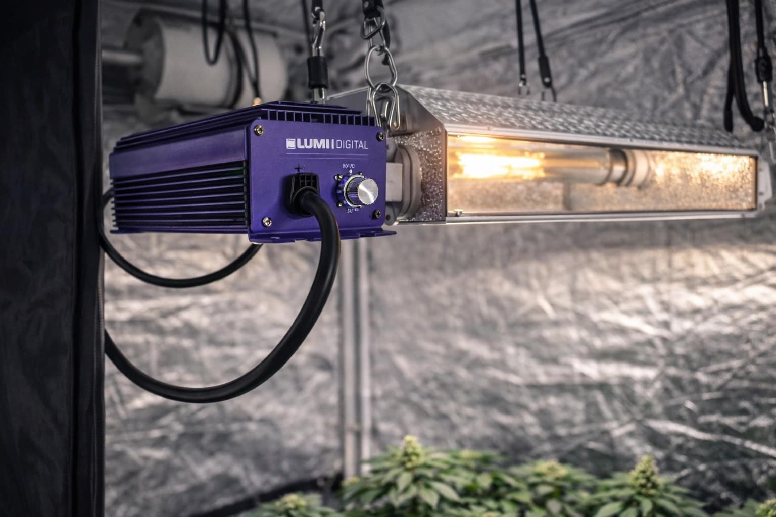 Balastro digital HPS alimentando una lámpara de sodio en cultivo indoor con plantas en floración