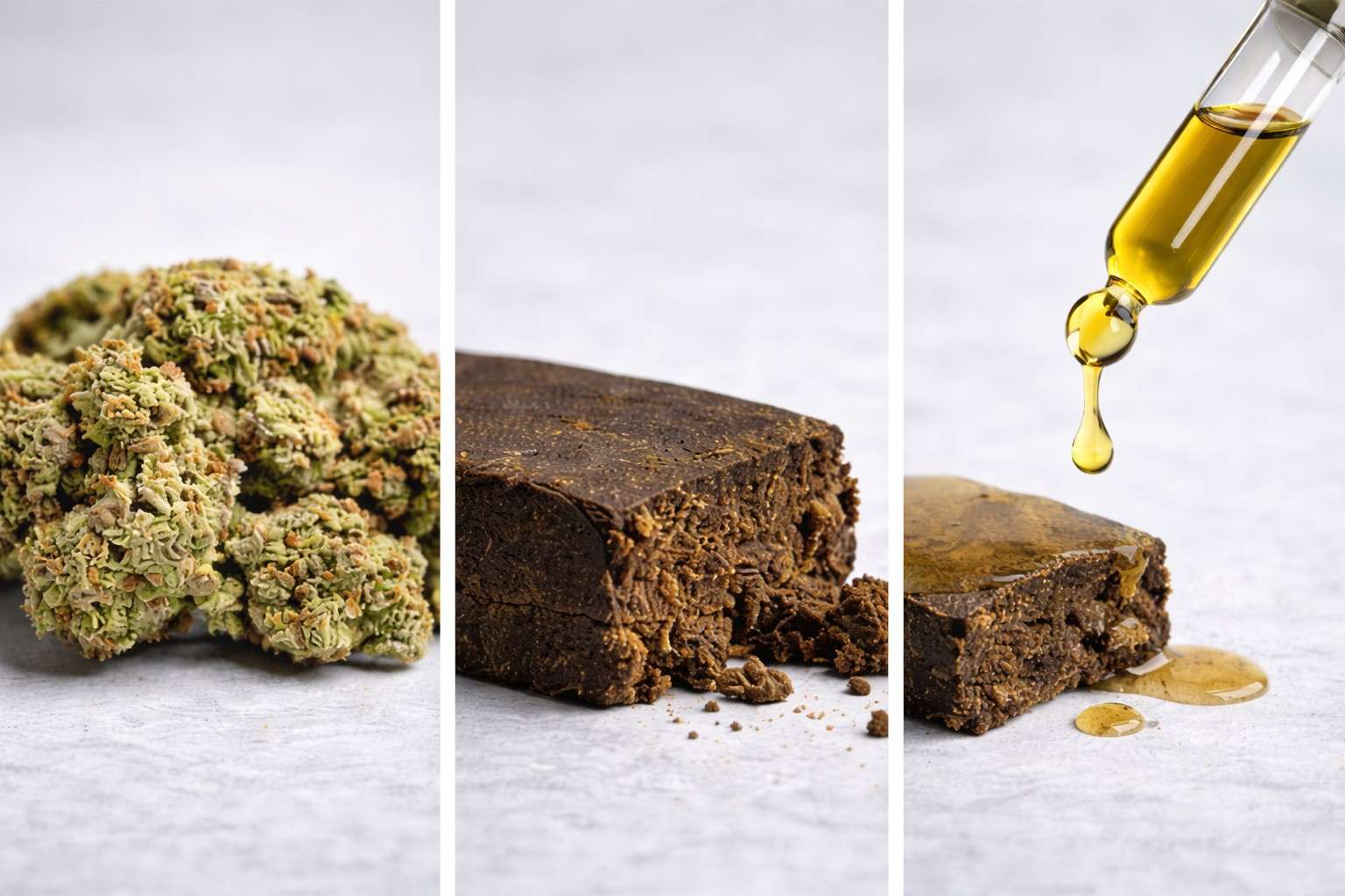 Flores de CBD, hash CBD artesanal y aceites de CBD premium disponibles en la CBD Shop de Topgrow