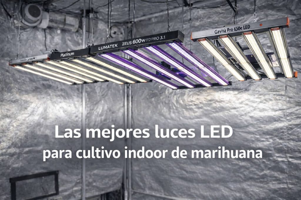 Cultivo indoor de marihuana con iluminación LED de barras en armario