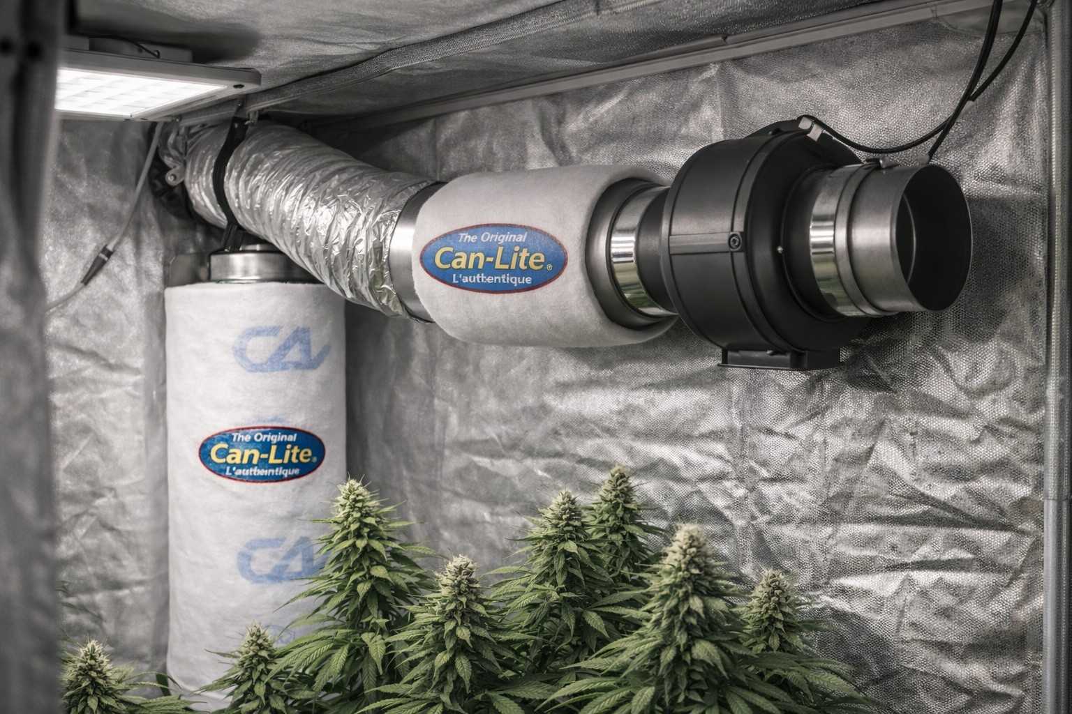 Filtro antiolor de carbón activo Can-Lite conectado a extractor y conductos en armario de cultivo indoor de marihuana