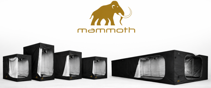 Gama completa de armarios Mammoth para cultivo indoor en distintos tamaños