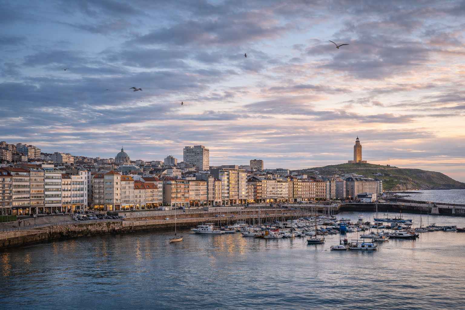 Grow shop en A Coruña asociado a una ciudad atlántica con humedad y viento constante