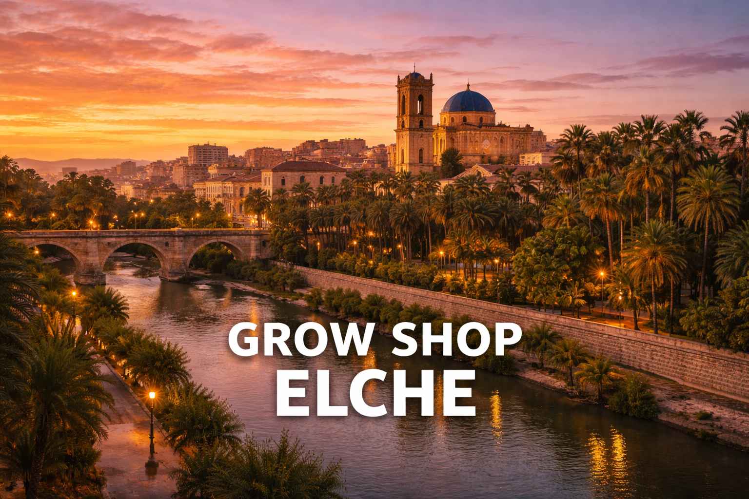 Grow shop en Elche enfocado en cultivo de marihuana adaptado al clima mediterráneo y urbano