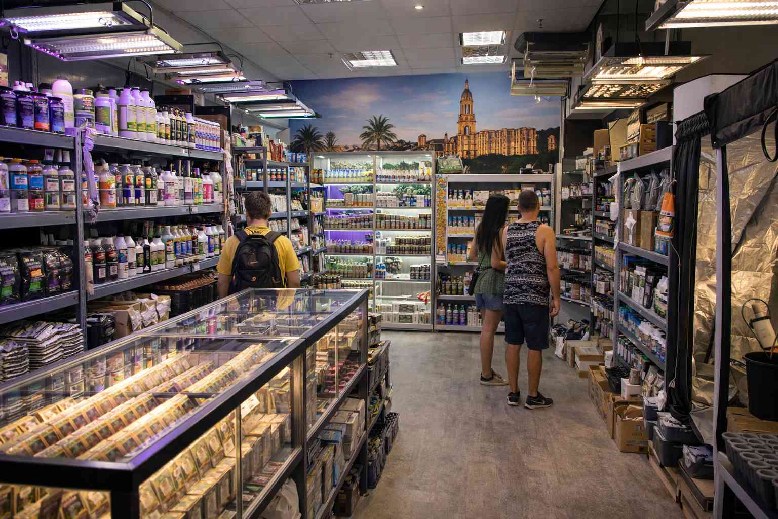 Interior de un grow shop en Málaga con fertilizantes, semillas y material para cultivo indoor