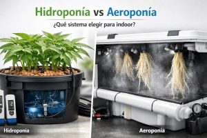 Hidroponía y aeroponía comparadas para cultivo de marihuana indoor