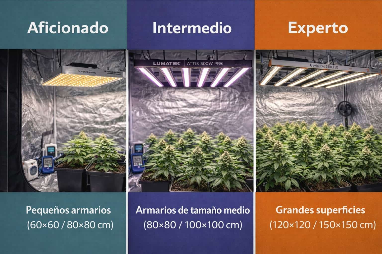 Luces LED para cultivo indoor según nivel aficionado intermedio y experto