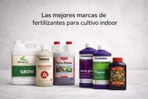 Mejores marcas de fertilizantes para cultivar marihuana en interior