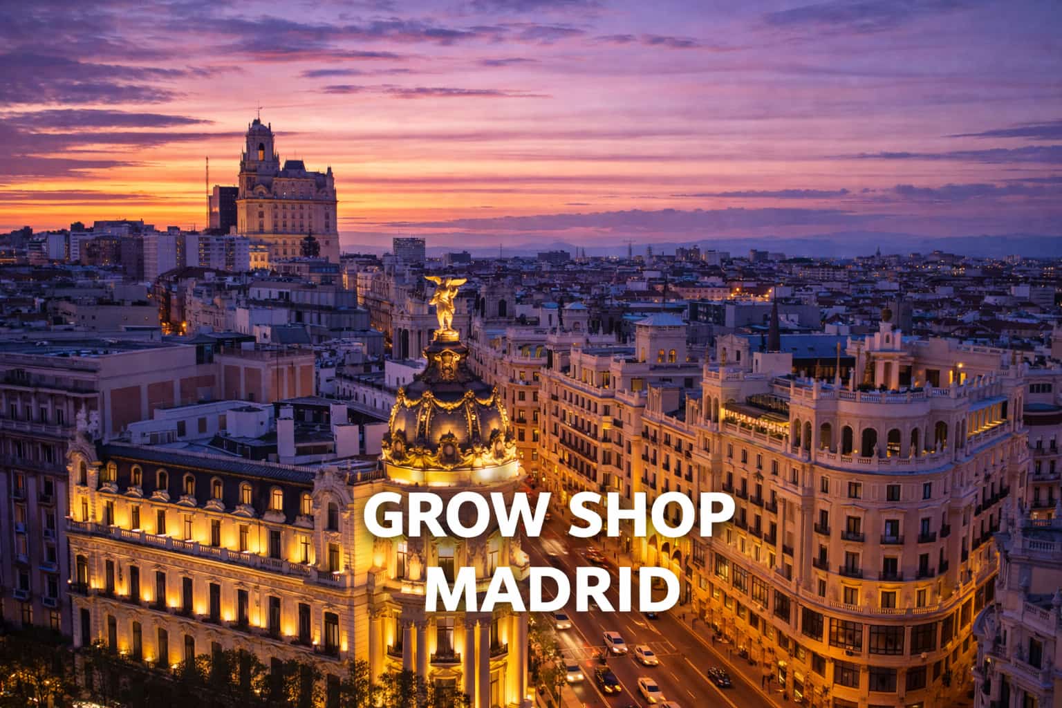 Grow shop en Madrid y cultivo urbano en la capital