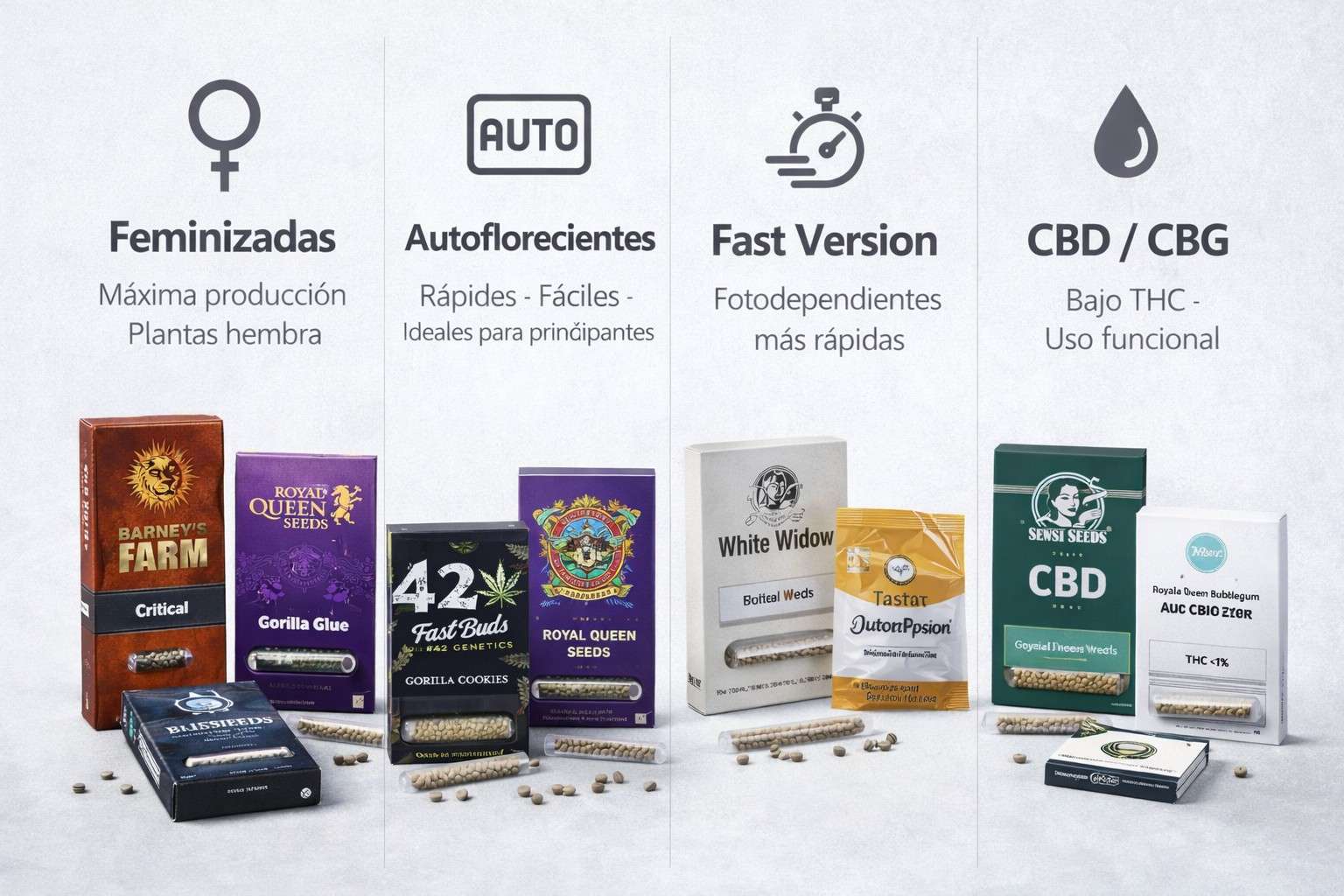 Tipos de semillas de marihuana feminizadas, autoflorecientes, fast version y CBD