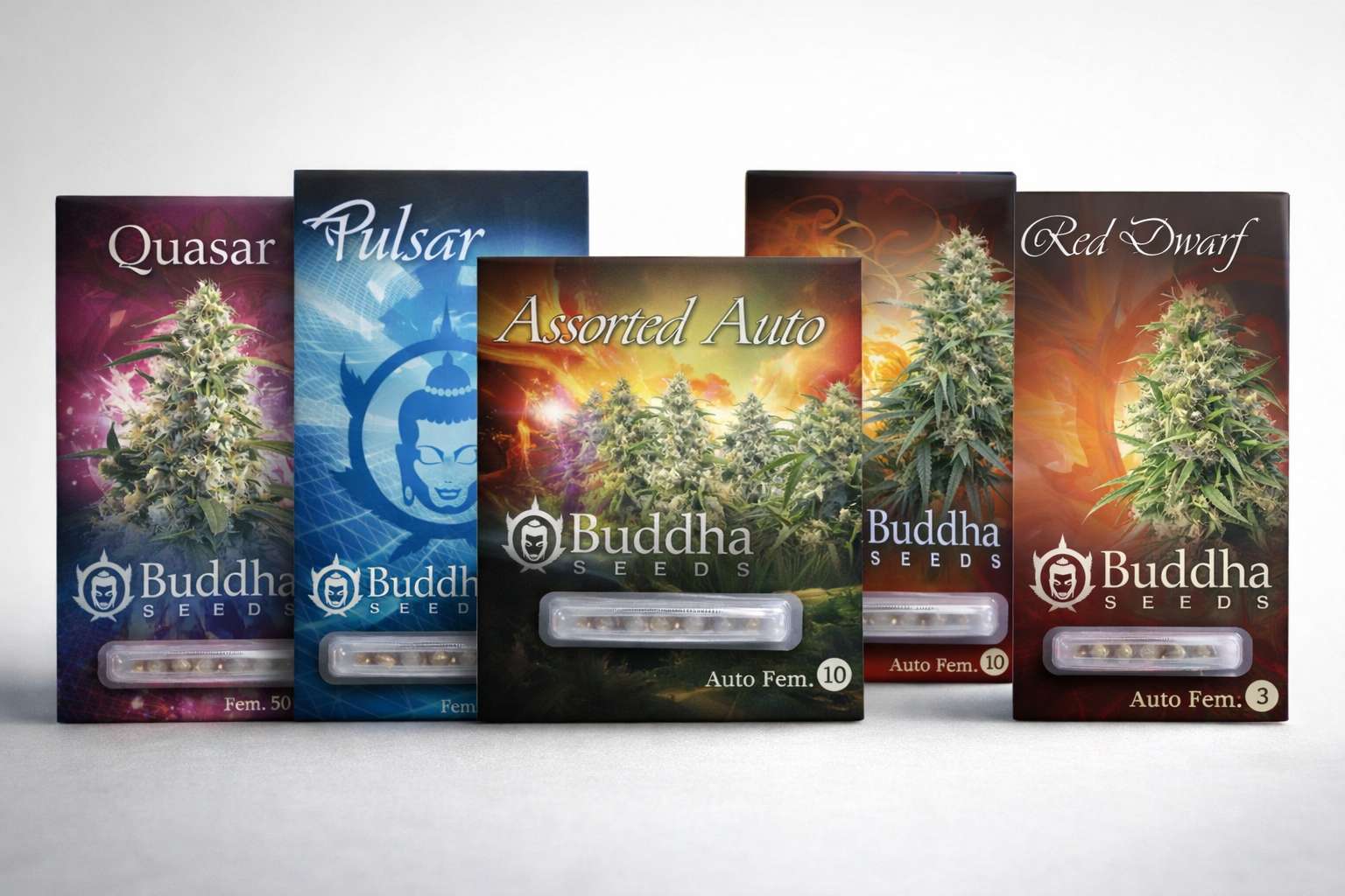 Packagings de Buddha Seeds con Quasar, Pulsar, Assorted Auto y Red Dwarf en formato blister sobre fondo claro