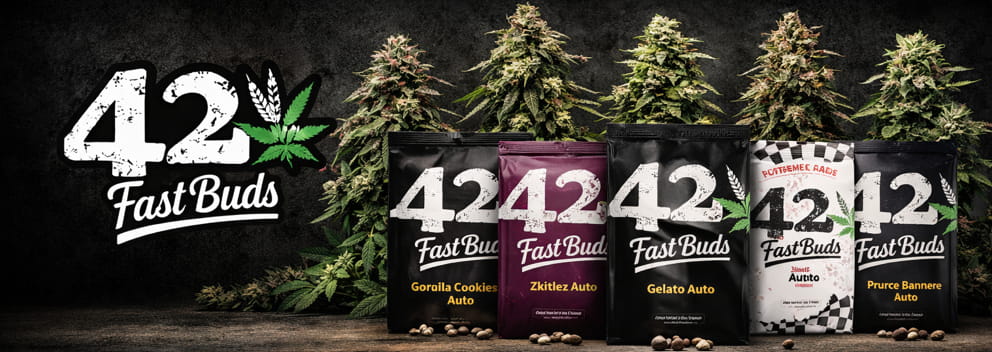 Catálogo completo de semillas autoflorecientes Fast Buds