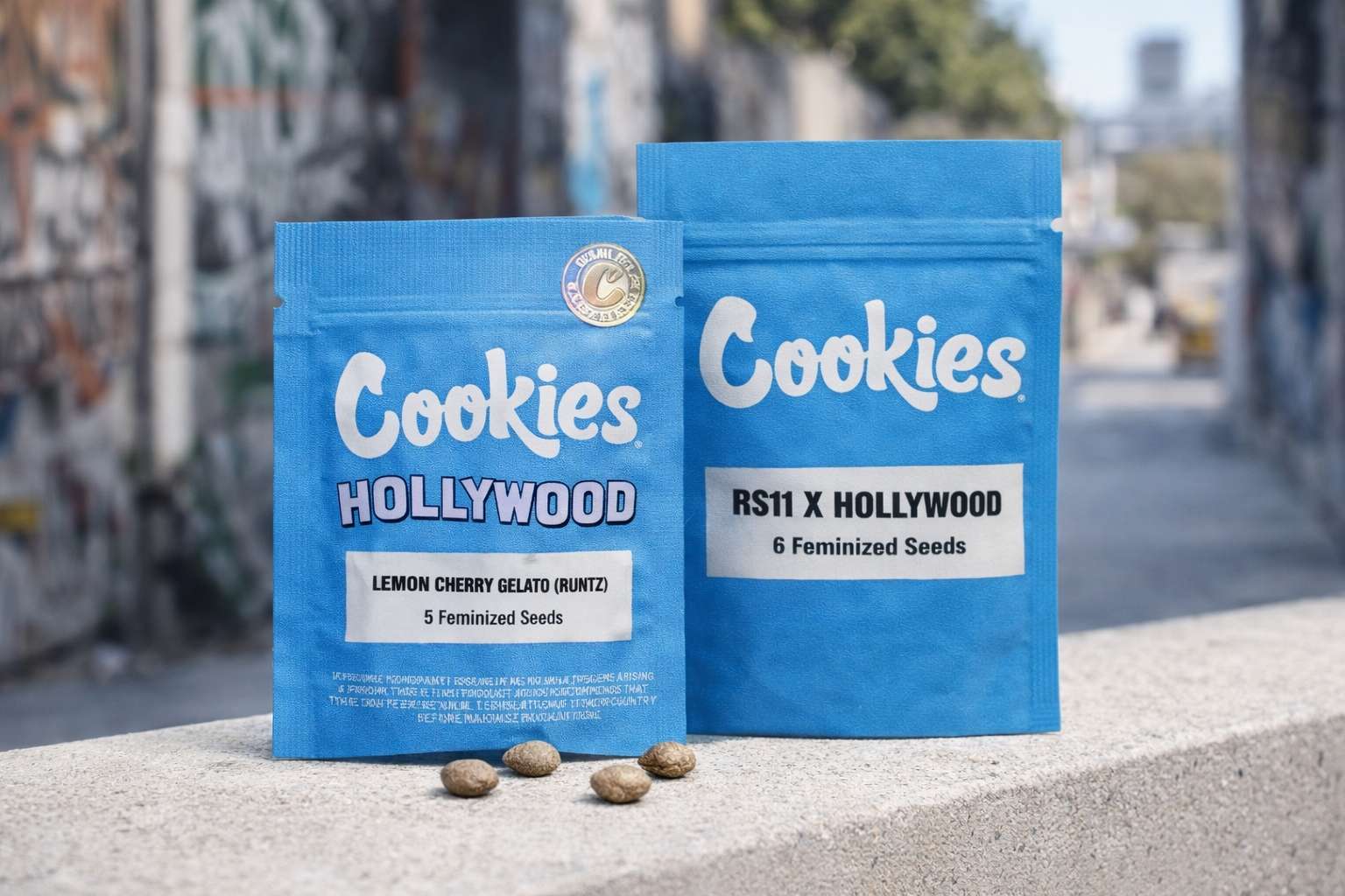 Bolsas Hollywood y RS11 x Hollywood de Cookies Seed Bank en entorno urbano con semillas visibles