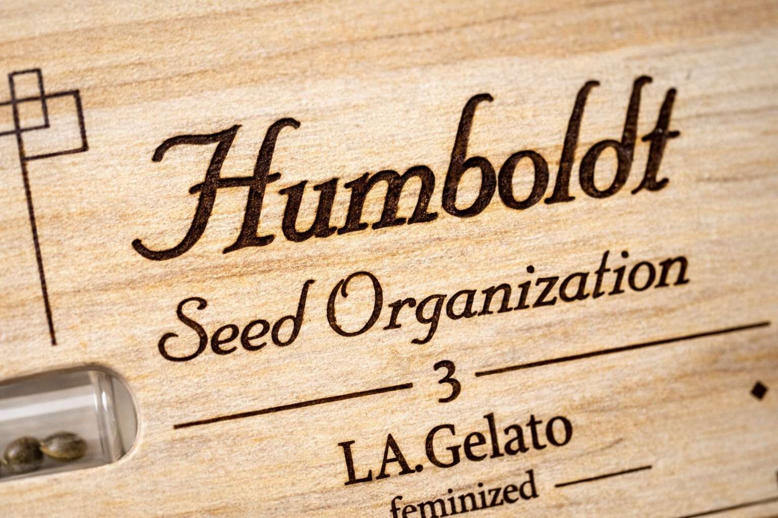 Detalle grabado en caja de madera Humboldt Seed Organization con tipografía y ventana frontal