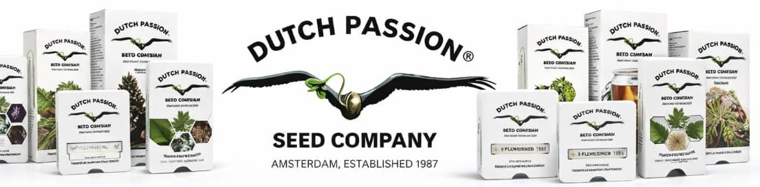 Dutch Passion Seed Company, banco de semillas de cannabis fundado en Ámsterdam en 1987