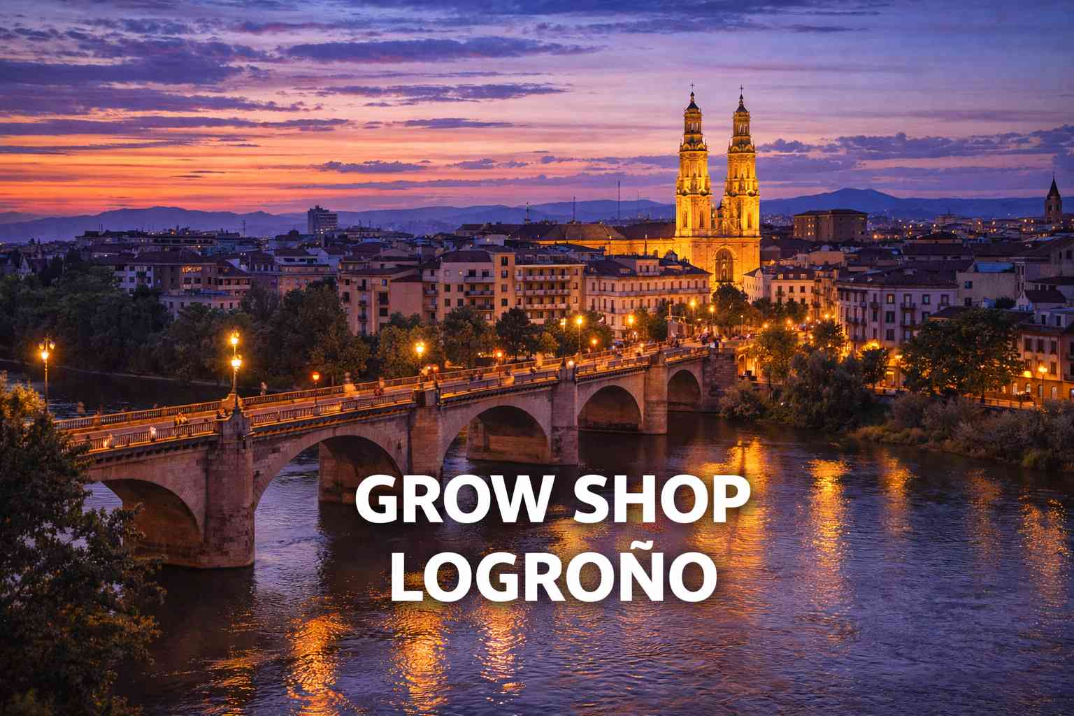 Puente sobre el río Ebro y catedral iluminada en Logroño al atardecer, imagen para grow shop en Logroño