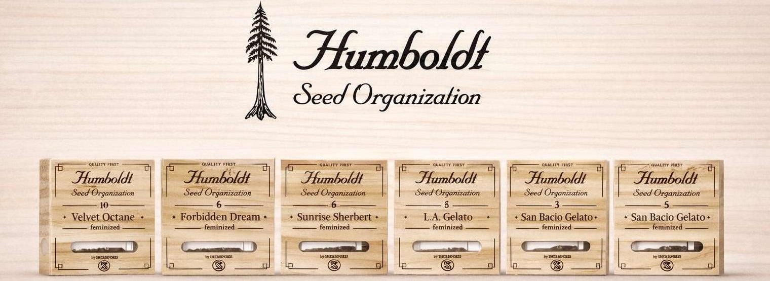 Exposición de múltiples semillas Humboldt Seed Organization alineadas sobre fondo de madera clara