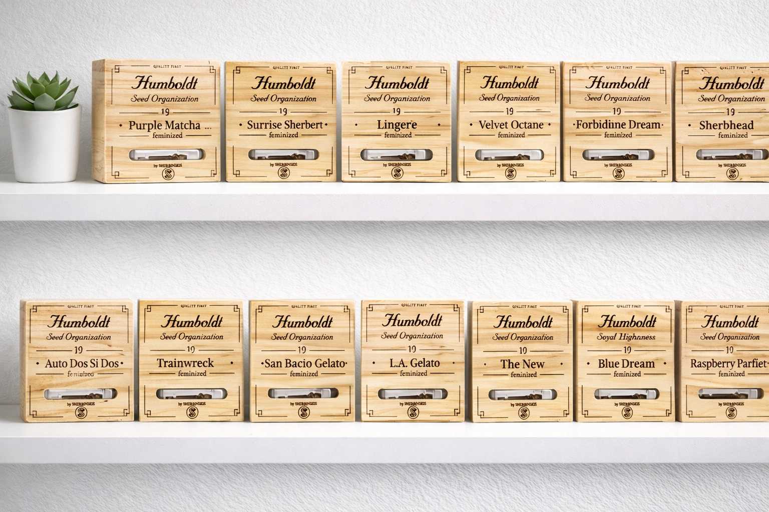 Estantería con semillas Humboldt Seed Organization en cajas de madera organizadas en dos baldas