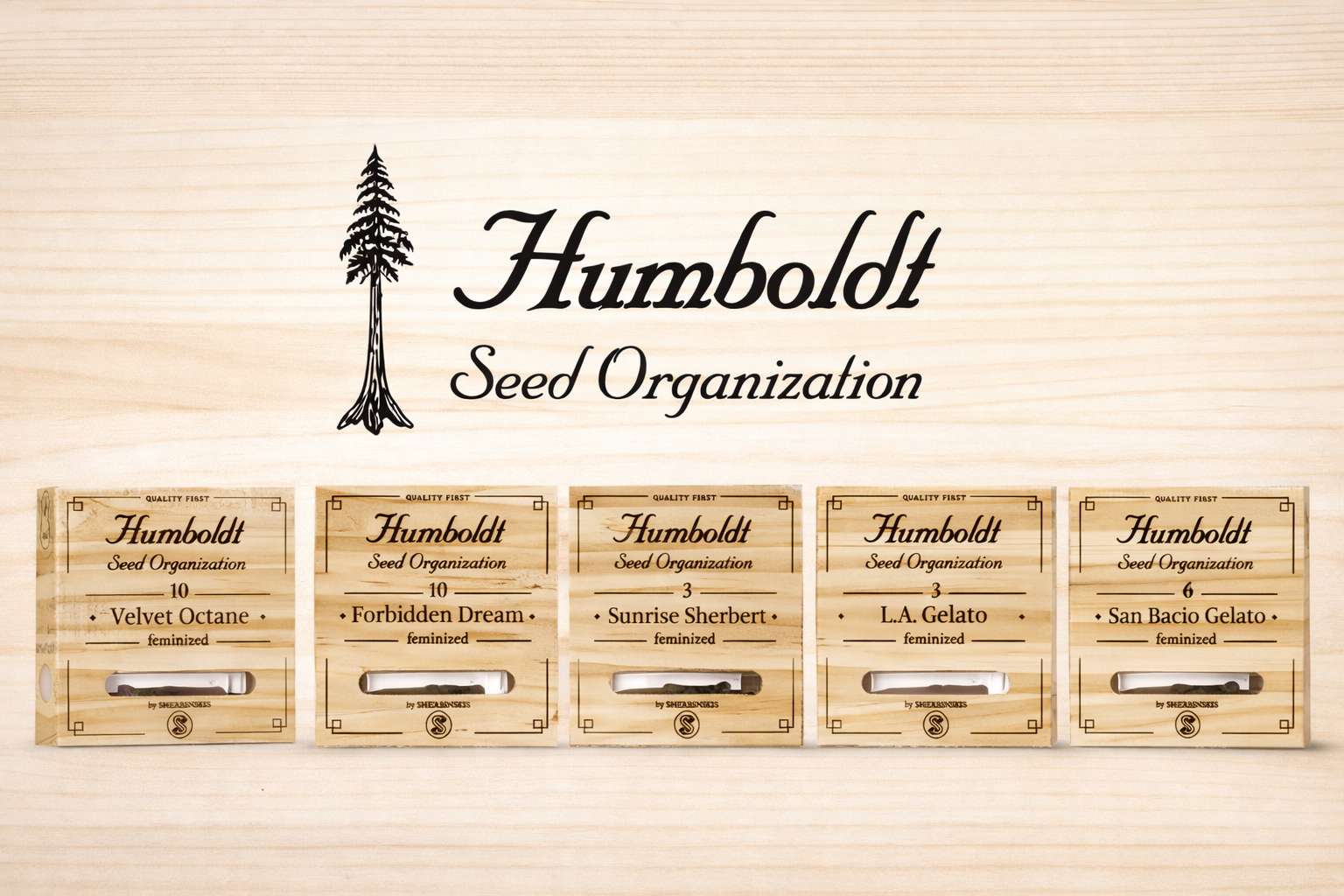 Colección de semillas feminizadas Humboldt Seed Organization en cajas de madera con diferentes variedades expuestas