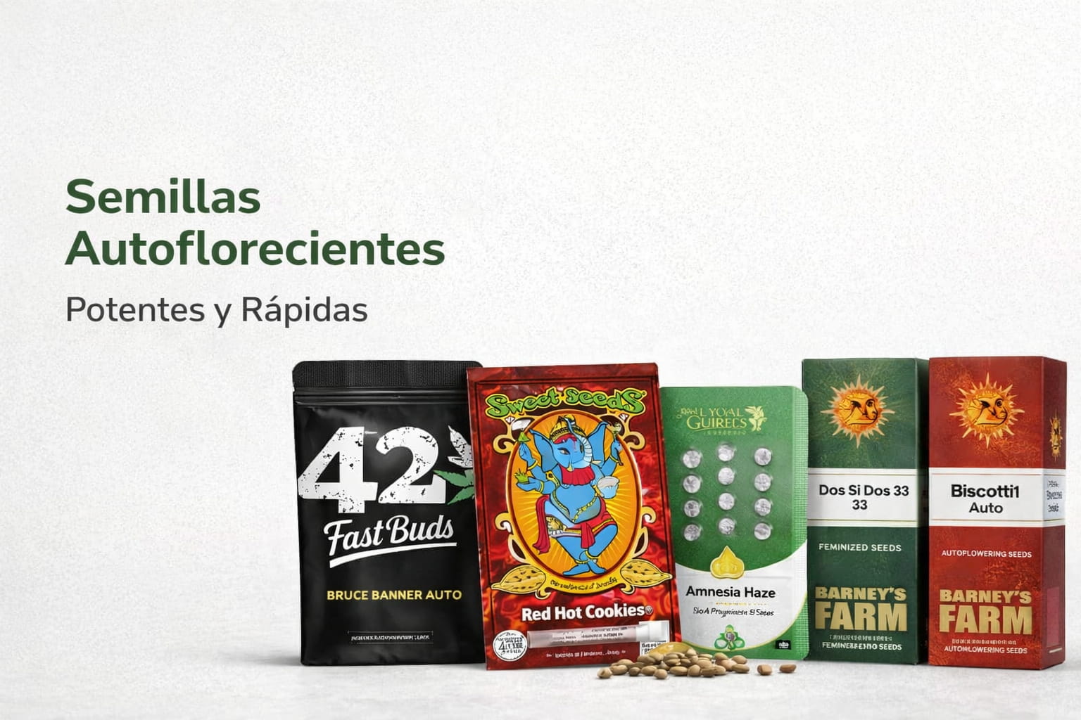 Semillas autoflorecientes potentes y rápidas de varias marcas sobre fondo blanco en artículo de blog