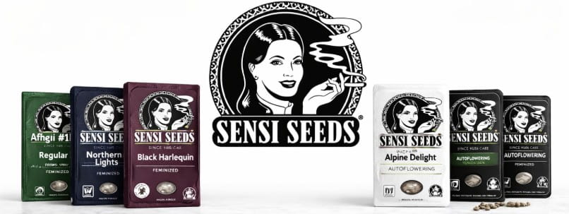 Sensi Seeds, banco de semillas de cannabis pionero en genética clásica y preservación genética