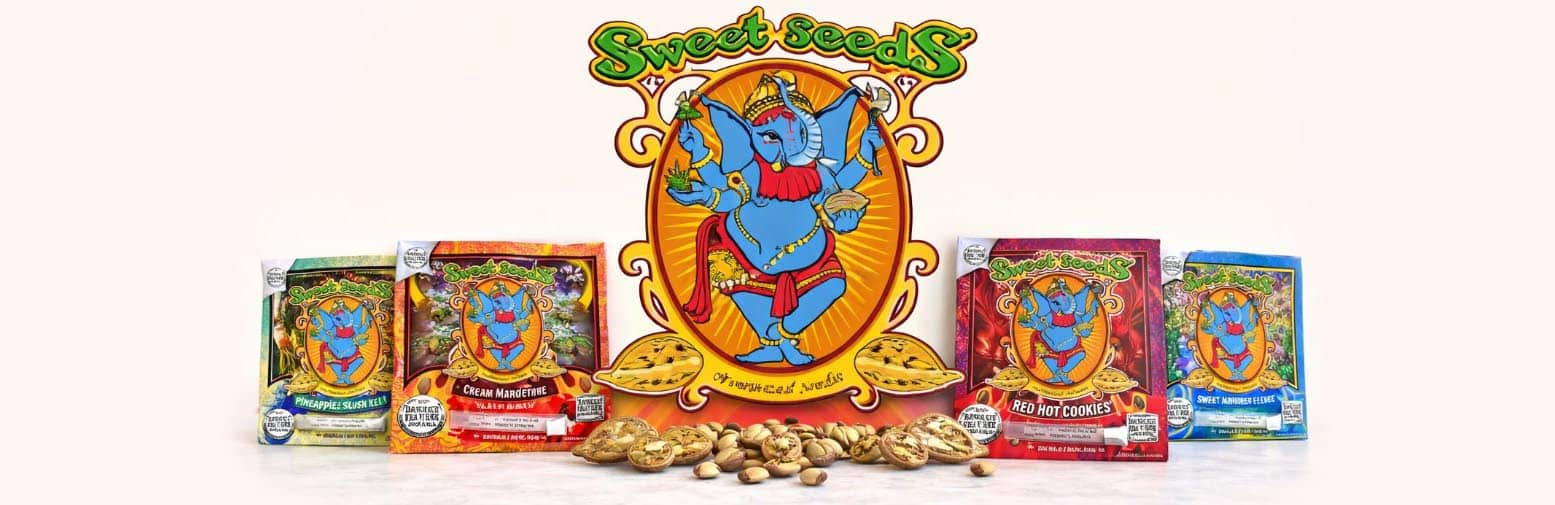 Sweet Seeds, banco de semillas de cannabis español reconocido internacionalmente