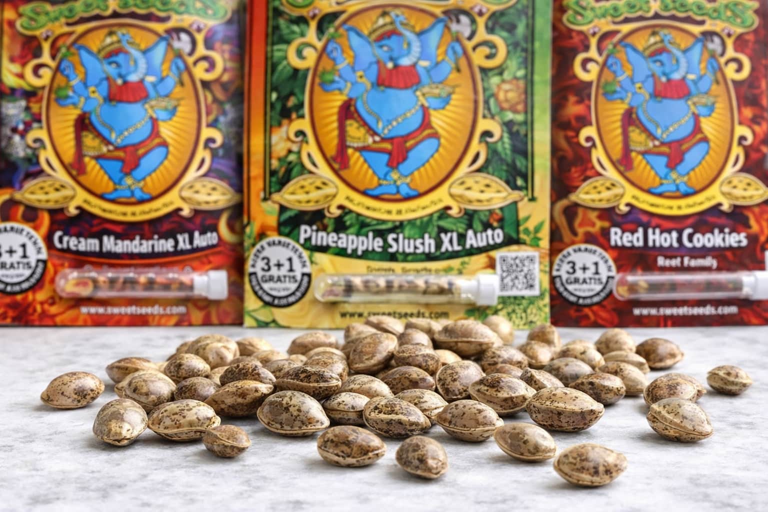 Semillas de cannabis Sweet Seeds con alta calidad y germinación estable