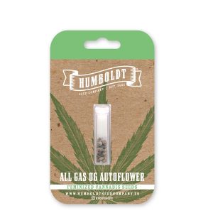 semillas feminizadas All Gas OG Humboldt Seeds Company para cultivo