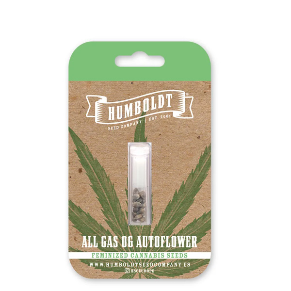 semillas feminizadas All Gas OG Humboldt Seeds Company para cultivo