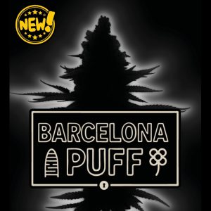 semillas feminizadas Barcelona Puff de Seedstockers para cultivo