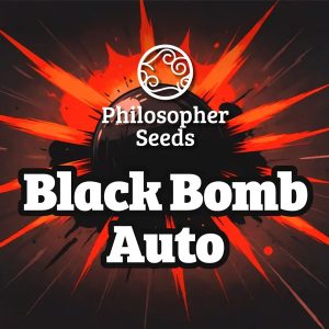 Auto Black Bomb 3 u fem Philosopher