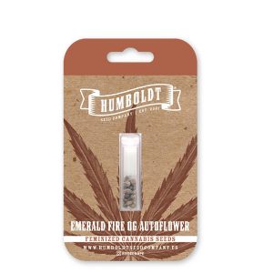 semilla feminizada Emerald Fire OG de Humboldt Seeds Company