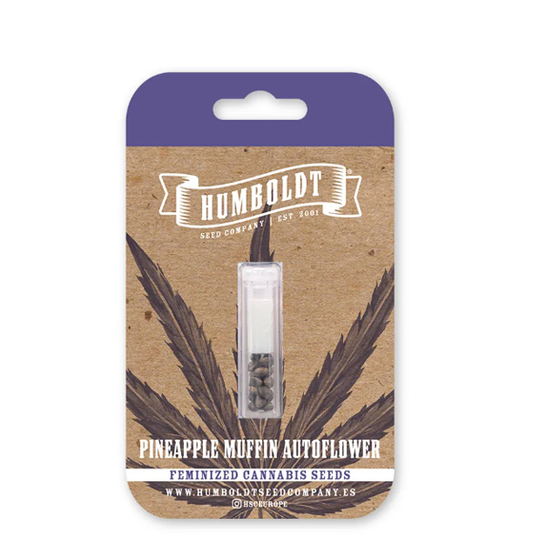 Semillas feminizadas Pineapple Muffin de Humboldt Seeds Company