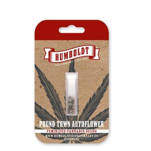 semillas feminizadas Pound Town de Humboldt Seeds Company para cultivo