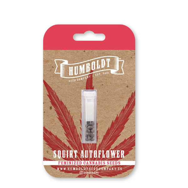 semillas feminizadas Squirt Humboldt Seeds Company para cultivo en exterior e interior