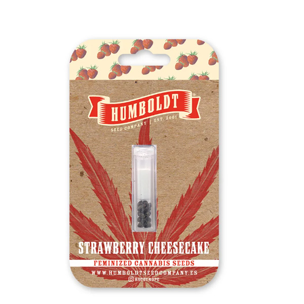 semillas feminizadas Strawberry Cheesecake de Humboldt Seeds Company