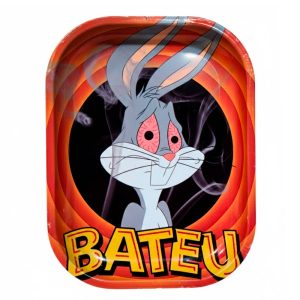 Bandeja Metal 18x14 cm. Bugs