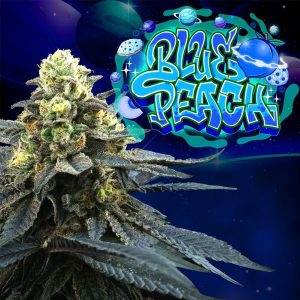 Blue Peach Perfect Tree