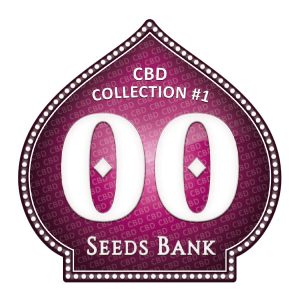CBD Collection 1 - 00 Seeds