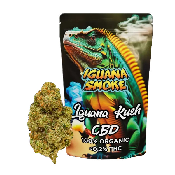 Cañamo Cbd Iguana Smoke Iguana Kush