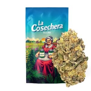 Flores secas de CBD La Cosechera Cheesecake en primer plano, mostrando su textura y color para uso aromático y artesanal