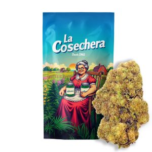Flores secas de CBD La Cosechera Mimosa con estructura densa y color verde, usadas para fines aromáticos y cosméticos