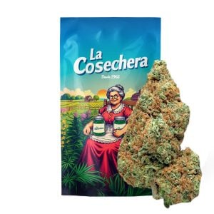 Flores de CBD White Widow La Cosechera en envase transparente para usos aromáticos y artesanales