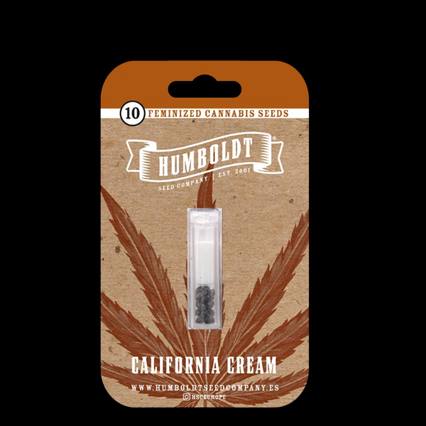 Semillas feminizadas California Cream de Humboldt Seeds Company