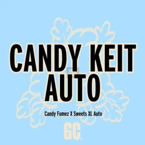 Semillas feminizadas Candy Keit Auto para cultivo controlado