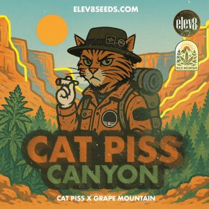 Cat Piss Canyon Elev8 Seeds
